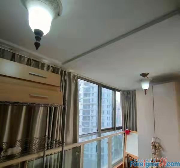 Amazing！Landmark Skylight （a well-appointed spacious apartment with spectacular lake view）