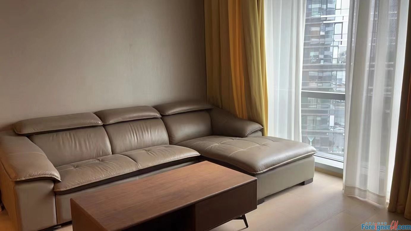 Gorgeous!！! HLCC apartment to rent in Suzhou/2 bedrooms and 1 bathroom/modern and clean design/Jinij Lake/Times square