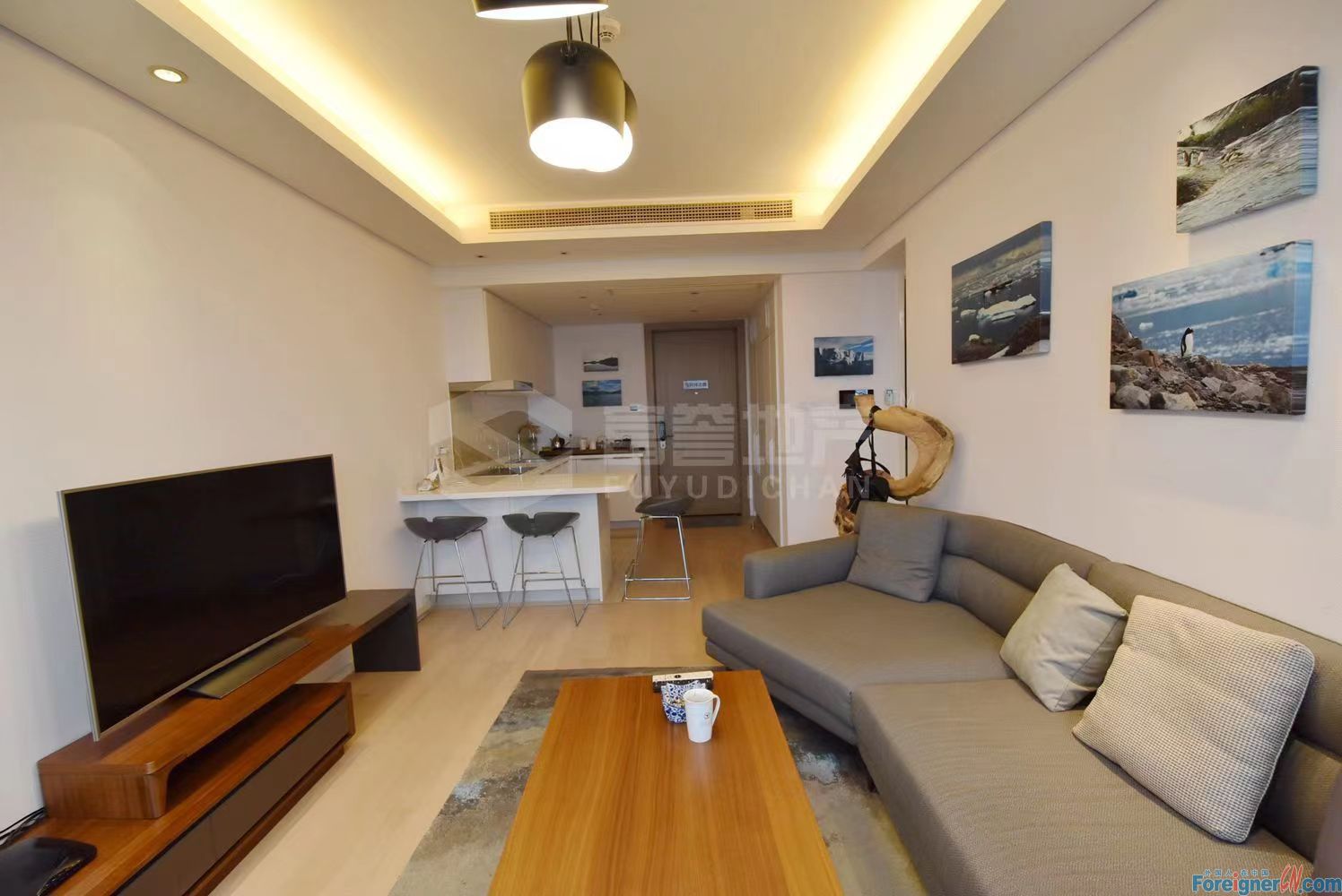Luxurious！！！Apartment rent in Suzhou /1 study room and 1 bathroom/ modern and cozy livinng room/Xinghai square/Suzhou Center Shopping Center