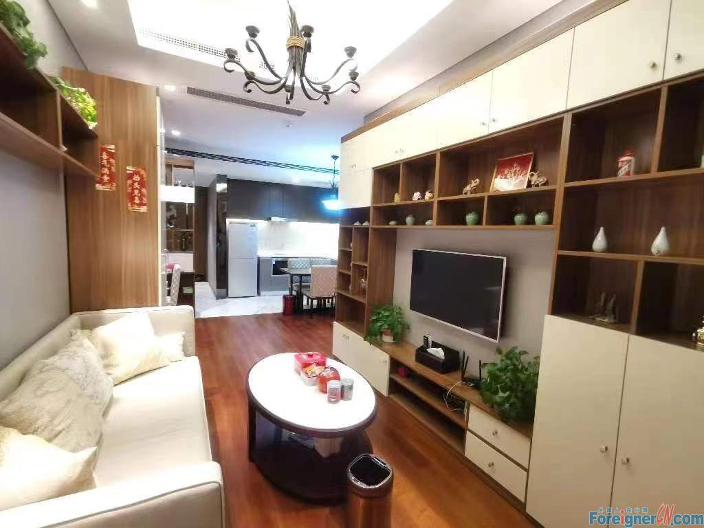 Stunning !! HLCC Apartment for Expats to rent in Suzhou/1bedroom and 1bathroom/Central AC ,lots of storage /Close to Subway station and Times Square,shopping mall. 