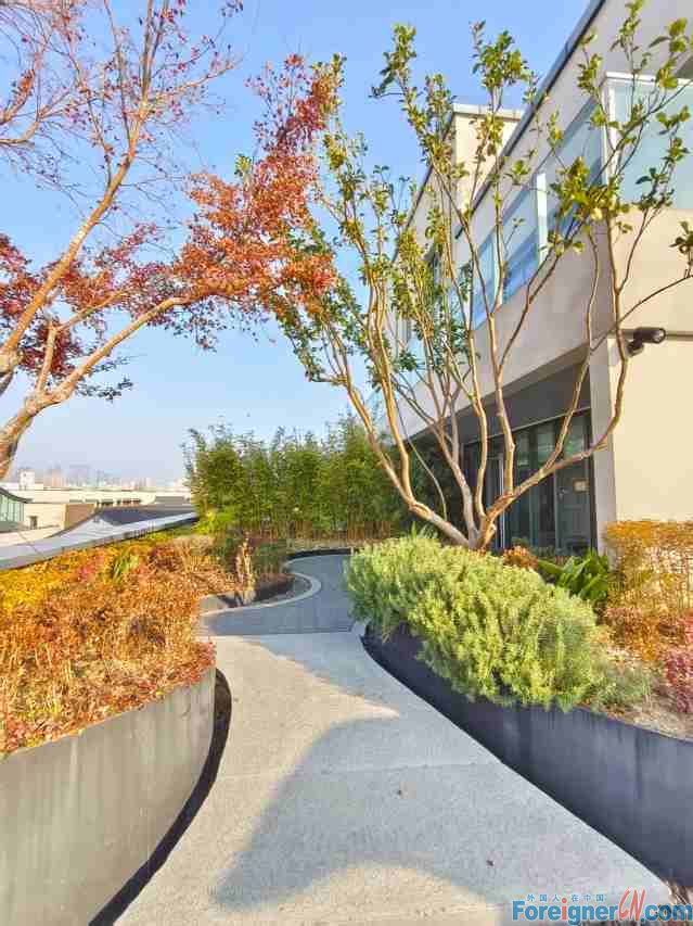 Fabulous!! High-end apartment in Suzhou /expats travelling in Suzhou/1 rooms/1 baths/modern /High class Hotel/ Central AC/Floor heating/open terrace/big balcony