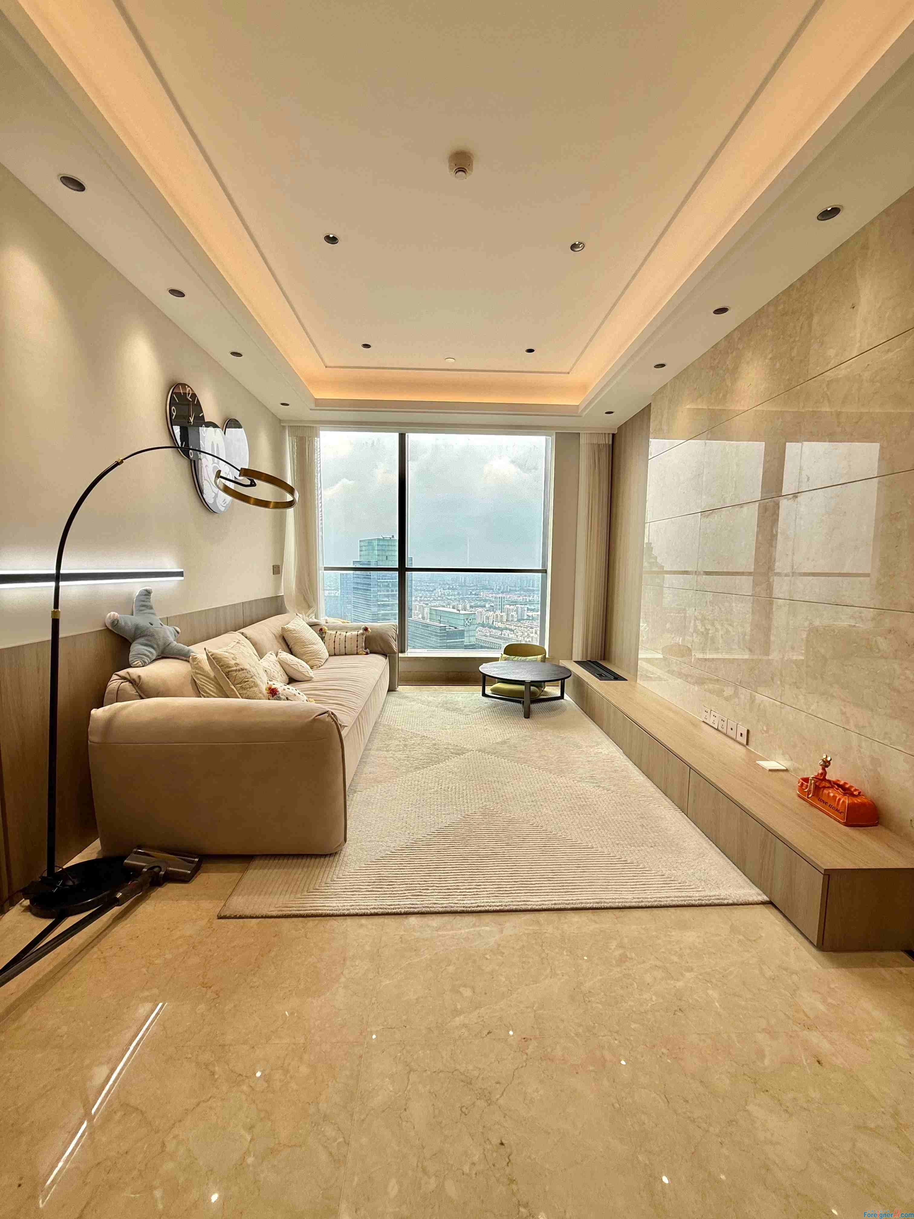 Gorgeous!! Modern apartment rent in Suzhou!!Find a home in Suzhou /housing for lease in suzhou /2rooms/ Modern/Floor heating and central AC/fully furnished/close to Suzhou Center shopping mall & Xinghai Square mall