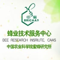 The Bee Museum of China