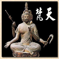 Artemis Shakti