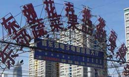 Dongjiao Flower Market