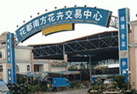 Huadu Nanfang Flowers Trading Center