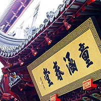 Professional Chinese Medicine