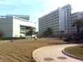 Beihang University