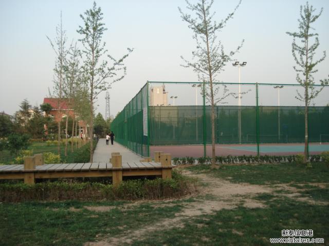 Xin Nian Hong Tennis Club-3